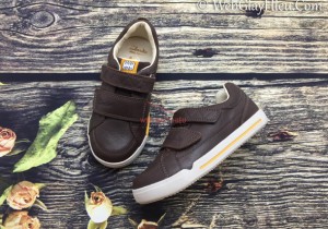 Giày Clarks